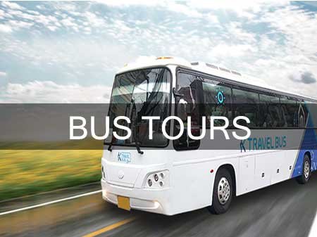 Taxi in Tirupati Bus Tours Service