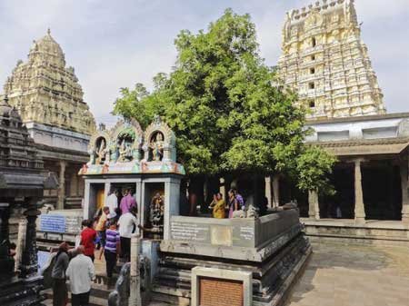 Taxi in Tirupati Kanchipuram Car Rentals